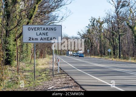 Juin 2020: Signes de repousse et de reprise après les feux de brousse dévastateurs sur la ligne de route de Bells près de Bilpin voir mes images comparatives Jan 2020 Banque D'Images