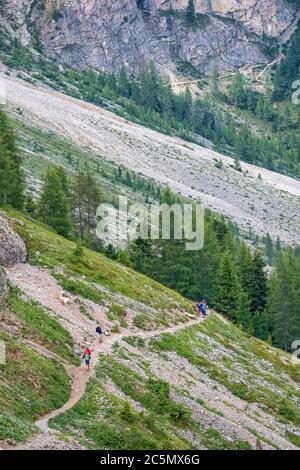 Randonneurs sur un sentier dans les Alpes Banque D'Images