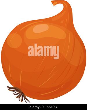Oignon brun de dessin animé. Légumes frais du marché agricole. Iilurations vectorielles isolées sur fond blanc. Illustration de Vecteur