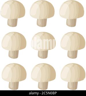 Illustration vectorielle de l'icône du champignon champignon. Champignon organique de dessin animé frais isolé sur fond blanc utilisé pour le magazine, livre, affiche, carte Illustration de Vecteur