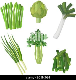 Ensemble de légumes et herbes vertes, nourriture végétarienne biologique, illustration vectorielle isolée sur fond blanc. Illustration de Vecteur