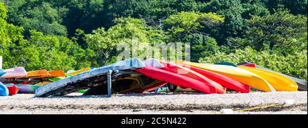 Vue horizontale de nombreux kayaks colorés stockés sur West Neck Beach avec des arbres en arrière-plan. Banque D'Images