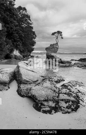 Tinline Bay, près de Marahau, parc national Abel Tasman, Île du Sud, Nouvelle-Zélande Banque D'Images