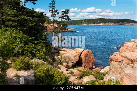 Vue sur l'eau et la montagne Cadillac prise dans les bois au fond de la montagne Cadillac à Bar Harbor Maine. Banque D'Images