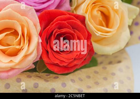 Bouquet de fleurs fraîches et belles. Composition florale avec roses. Fleurs délicieuses sur fond papier Banque D'Images