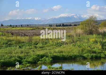 Vue sur la vallée de Hula et le Mont Hermon, dans le nord d'Israël Banque D'Images