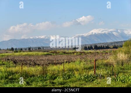 Vue sur la vallée de Hula et le Mont Hermon, les hauteurs du Golan, le nord d'Israël Banque D'Images