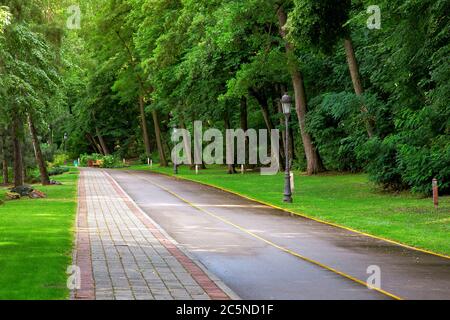 piste cyclable en asphalte avec des marquages jaunes et un trottoir piétonnier en tuiles de pierre dans un parc avec une pelouse verte, des arbres et des lanternes en fer, personne. Banque D'Images