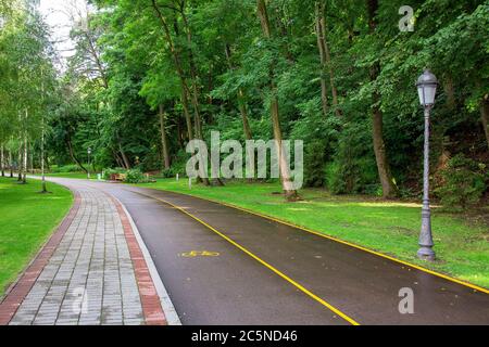 piste cyclable en asphalte avec des marquages jaunes et un symbole de vélo et un trottoir piétonnier en tuiles de pierre dans un parc avec une pelouse verte et des arbres, pas de bo Banque D'Images