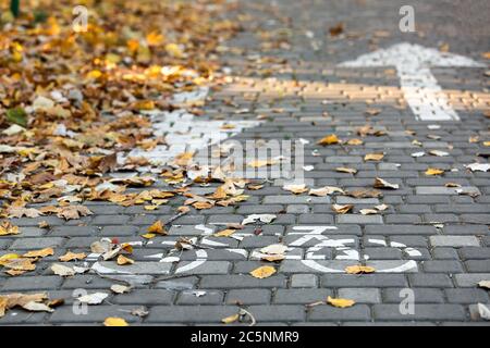 Un sentier de vélo pavé de carreaux carrés gris et parsemé de feuilles d'automne jaunes, une route avec des flèches de direction et un symbole du mouvement de vélo Banque D'Images