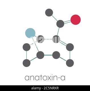 Molécule d'anatoxine-a (facteur de mort très rapide, FVDF). Formule squelettique stylisée (structure chimique) : les atomes sont représentés par des cercles de couleur : hydrogène (caché), carbone (gris), oxygène (rouge), azote (bleu). Banque D'Images