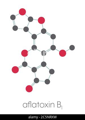 Aflatoxine B1 moule molécule cancérogène. Formule squelettique stylisée (structure chimique) : les atomes sont représentés par des cercles de couleur : hydrogène (caché), carbone (gris), oxygène (rouge). Banque D'Images