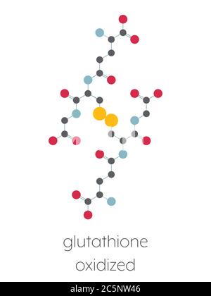 Molécule de glutathion (glutathion oxydé, GSSG). Formule squelettique stylisée (structure chimique) : les atomes sont représentés par des cercles de couleur : hydrogène (caché), carbone (gris). Banque D'Images