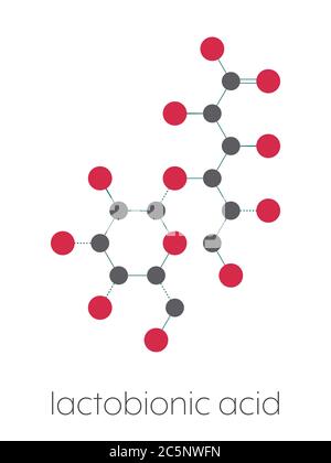 Molécule d'acide lactobionique (lactobionate). Additif couramment utilisé dans les produits alimentaires, les médicaments et les cosmétiques. Formule squelettique stylisée (structure chimique) : les atomes sont représentés par des cercles de couleur : hydrogène (caché), carbone (gris), oxygène (rouge). Banque D'Images