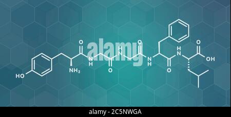 Leu-enképhaline peptide opioïde endogène molécule. Formule topologique. Banque D'Images