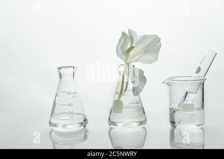 flacon et bécher en verre avec eau et fleur naturelle blanche douce pour les travaux de laboratoire de recherche cosmétique Banque D'Images