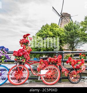 Vélos très décorés de fleurs. L'usine de Gooyer derrière. Photo de haute qualité Banque D'Images