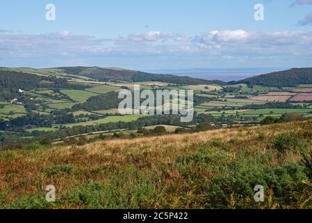 Vue automnale de Doverhay à travers les collines et les landes du parc national d'Exmoor vers Selworthy Hill, dans le Somerset, Angleterre, Royaume-Uni Banque D'Images