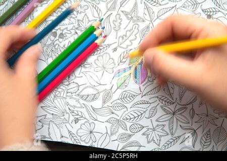 Pays-Bas, le 2020 juillet, une image d'une nouvelle chose tendance appelée adultes coloriage book. Banque D'Images