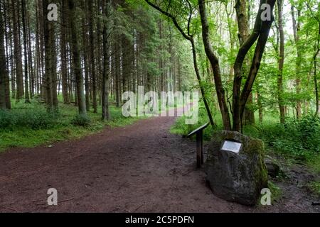 Emplacement de l'incident OVNI de Dechmont Woods. Robert Taylor, travailleur forestier, a signalé avoir vu un vaisseau spatial étranger dans les bois près de Livingston, en 1979. Banque D'Images