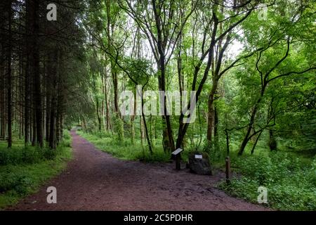 Emplacement de l'incident OVNI de Dechmont Woods. Robert Taylor, travailleur forestier, a signalé avoir vu un vaisseau spatial étranger dans les bois près de Livingston, en 1979. Banque D'Images