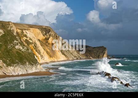 St Oswalds Bay à côté de Durdle Door à Dorset sur la côte jurassique. Fait partie de l'AONB Dorset et se trouve sur la route du South West Coast Path. Banque D'Images