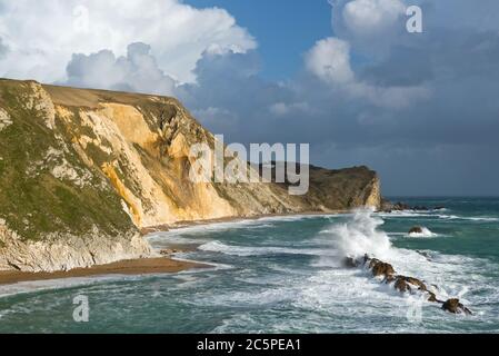 St Oswalds Bay à côté de Durdle Door à Dorset sur la côte jurassique. Fait partie de l'AONB Dorset et se trouve sur la route du South West Coast Path. Banque D'Images