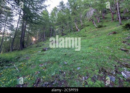 Chamois, Vallée d'Aoste, Italie Banque D'Images