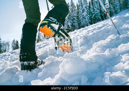Gros plan de bottes de montagne avec crampons et guêtres à neige avec spruces enneigés sur le fond . Chaussures montantes de montagne en neige dure asc Banque D'Images
