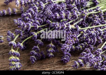 Gros plan sur une table de brindilles de lavande fraîches Banque D'Images