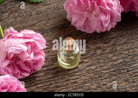 Une bouteille d'huile essentielle avec des roses fraîches Banque D'Images