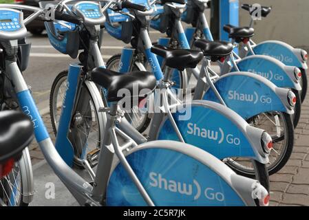 Une rangée de bicyclettes de location, qui fait partie des programmes Mobi by Shaw Go de Vancouver Bike Share Inc., est montée dans un porte-vélos sur l’île Granville, à Vancouver (Colombie-Britannique) Banque D'Images