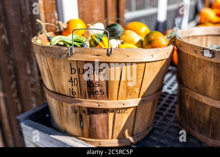 Gros plan de la petite courge à motif de citrouille multicolore jaune, vert et blanc dans un panier en bois avec une affiche pour les livres de boisseaux en démonstration Banque D'Images