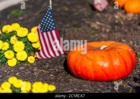 Jardin décoratif extérieur citrouilles et plantes jaunes fleurs closeup en automne saison en Virginie, États-Unis et drapeau américain Banque D'Images