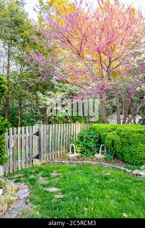 Jardin idyllique en Virginie avec entrée de clôture en bois par des buissons et des cornouillers blancs et rouge rose pourpre printemps fleurs sur l'arbre et le soleil Banque D'Images