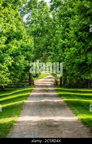 Entrée ouverte et fermée, vue verticale avec allée dans la campagne rurale dans Virginia Estate chemin de terre en gravier rue avec arbres verts luxuriants en été Banque D'Images