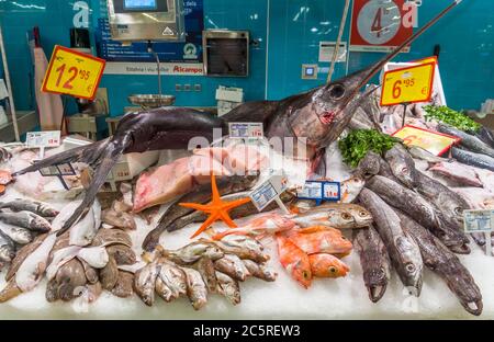 BARCELONE, ESPAGNE - 7 JUILLET 2015 : poissons de mer frais dans la glace au centre commercial Diagonal Mar. Barcelone, Espagne - 7 juillet 2015 : poissons de mer frais dans la glace à Diago Banque D'Images