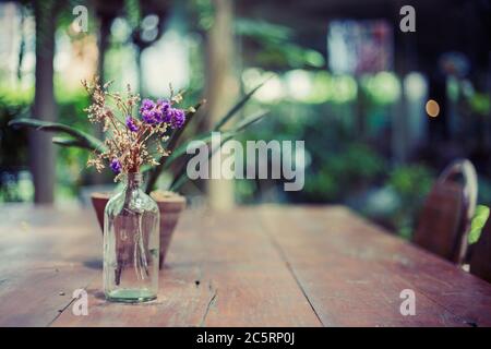 Une fleur dans un pot à bouteille et un petit arbre dans un pot à fleurs et ils sont sur la table en bois dans un café. Banque D'Images