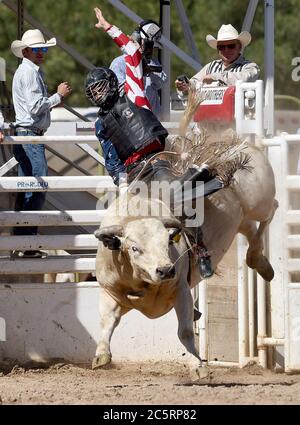 Prescott, AZ, États-Unis. 4 juillet 2020. McCoy Moody, de Delta, Utah, participe à l'épreuve de Bull Riding lors du 133e Rodeo des Frontier Days de Prescott à Prescott, Arizona, le samedi 4 juillet 2020. Le rodéo, le plus long au monde, s'est poursuivi malgré la pandémie du coronavirus, avec une capacité de ventilateur limitée à 25 pour cent sur le site. Crédit : nouvelles en direct de will Lester/ZUMA Wire/Alay Banque D'Images