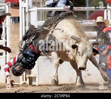 Prescott, AZ, États-Unis. 4 juillet 2020. McCoy Moody, de Delta, Utah, participe à l'épreuve de Bull Riding lors du 133e Rodeo des Frontier Days de Prescott à Prescott, Arizona, le samedi 4 juillet 2020. Le rodéo, le plus long au monde, s'est poursuivi malgré la pandémie du coronavirus, avec une capacité de ventilateur limitée à 25 pour cent sur le site. Crédit : nouvelles en direct de will Lester/ZUMA Wire/Alay Banque D'Images