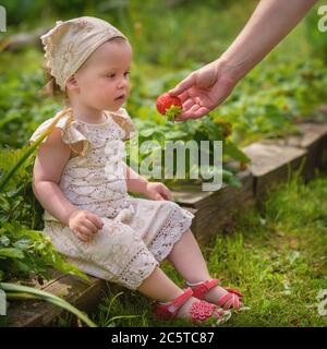 Une petite fille mange une fraise mûre et juteuse, assise près d'un jardin vert avec des fraises, éclairée par la lumière du soleil. Banque D'Images