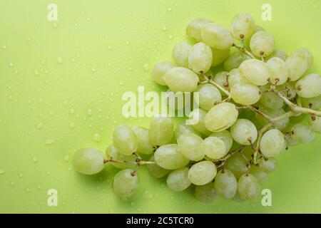 Un bouquet de raisins mûrs avec des gouttes d'eau, des baies de raisin blanc sur fond vert clair Banque D'Images