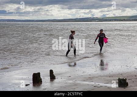 Les nageurs sauvages femelles en combinaison quittent la mer dans le Firth of Forth à Portobello, Édimbourg, Écosse, Royaume-Uni Banque D'Images