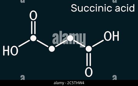 Acide succinique, acide butanedioïque, molécule C4H6O4. Il s'agit de l'additif alimentaire E363. L'anion, le succinate, est un composant de l'acide citrique ou TCA. Produit chimique squelettique Banque D'Images