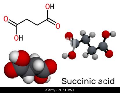 Acide succinique, acide butanedioïque, molécule C4H6O4. Il s'agit de l'additif alimentaire E363. L'anion, le succinate, est un composant de l'acide citrique ou TCA. Formule structurelle, Banque D'Images