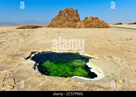 Trou d'eau avec cristaux de sel floqués dans la croûte de sel du lac Assale ou du lac Karum, zone géothermique de Dallol, dépression de Danakil Éthiopie Banque D'Images