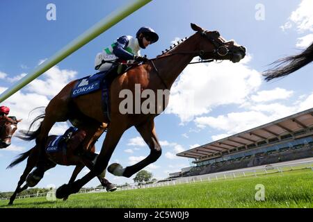 En écrasant Willoughby, monté par Oisin Murphy, sur le chemin de la victoire des piquets Coral Henry II à l'hippodrome de Sandown Park. Banque D'Images