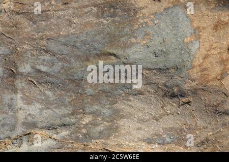 Fond de texture de pierre. Fond de pierre naturelle coloré. Détails de la texture de la pierre de sable. Banque D'Images