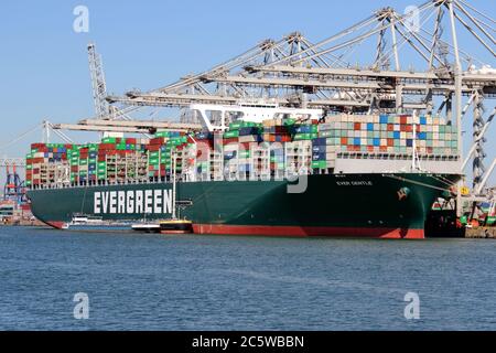 Le navire à conteneurs toujours doux sera chargé dans le port de Rotterdam le 30 mai 2020. Banque D'Images