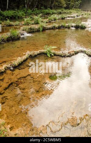 Semuc Champey en paysage, Lanquin, Guatemala, Amérique Centrale Banque D'Images